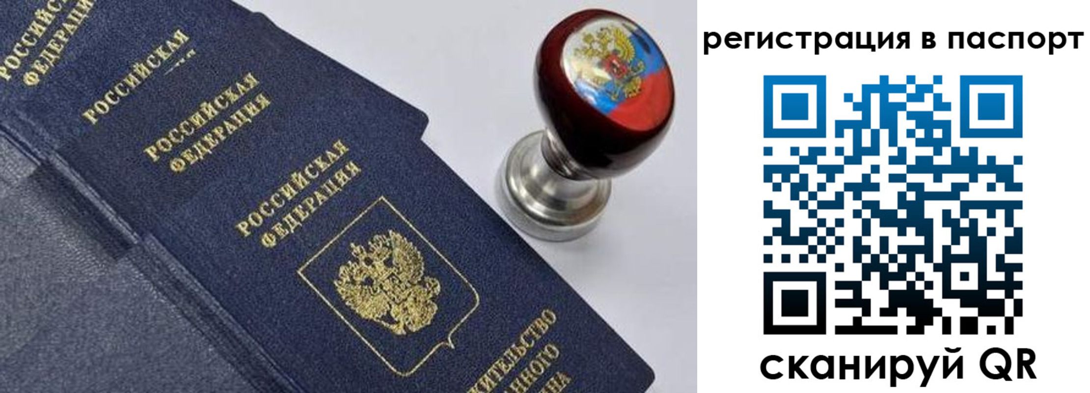 прописка поиск в Камчатской области