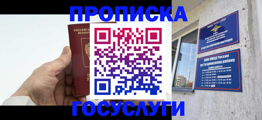временная регистрация надежно в Камчатской области